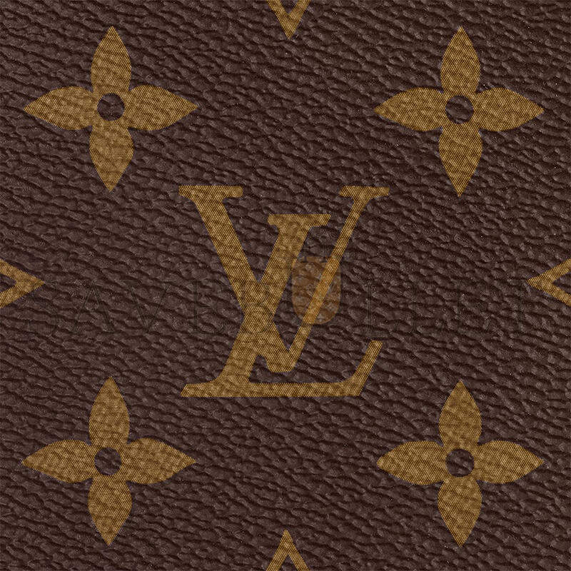 LOUIS VUITTON PALM SPRINGS MINI M44873 (22*17*10cm)